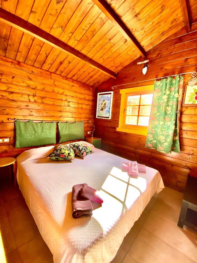 Canary Wild House 2 Carrizal 外观 照片