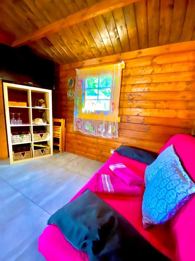 Canary Wild House 2 Carrizal 外观 照片